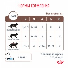 moderate calorie_6